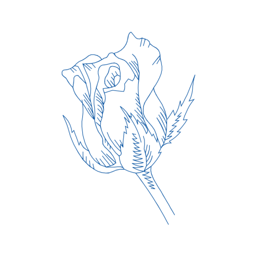 Line Art Flowers Line Art Flowers