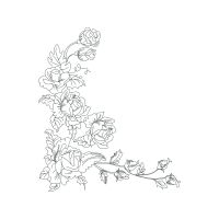 Line Art Flowers Line Art Flowers