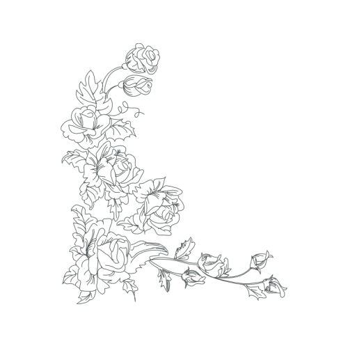 Line Art Flowers Line Art Flowers