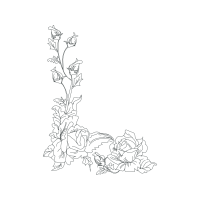 Line Art Flowers Line Art Flowers