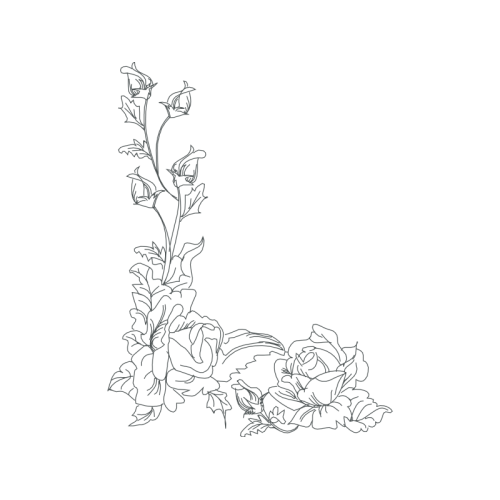 Line Art Flowers Line Art Flowers