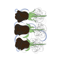 Line Art Flowers Line Art Flowers