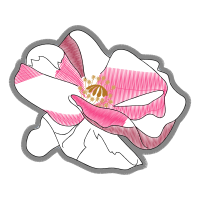 Line Art Flowers Line Art Flowers