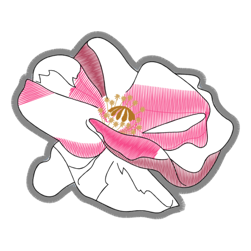 Line Art Flowers Line Art Flowers