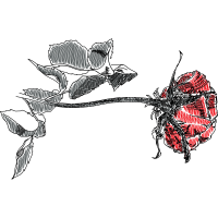 Line Art Flowers Line Art Flowers