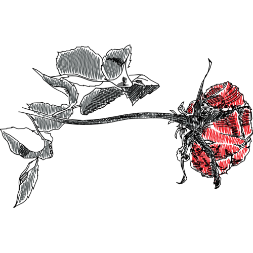 Line Art Flowers Line Art Flowers