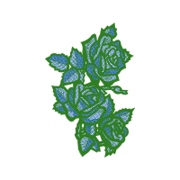 M 02Csf Flowers M 02Csf Flowers