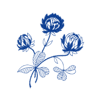 M 02Csf Flowers M 02Csf Flowers