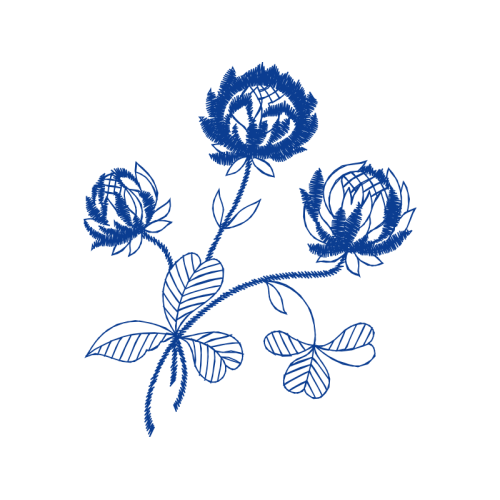 M 02Csf Flowers M 02Csf Flowers