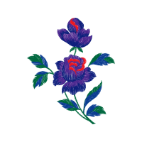 M 02Csf Flowers M 02Csf Flowers