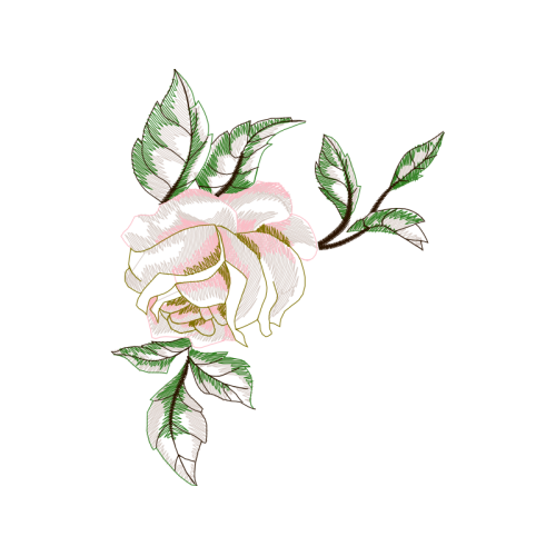 M 02Csf Flowers M 02Csf Flowers