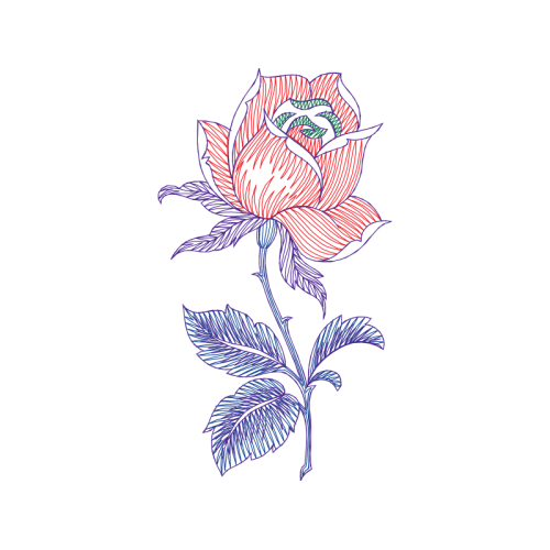 M 02Csf Flowers M 02Csf Flowers