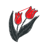 M 02Csf Flowers M 02Csf Flowers