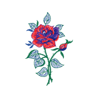 M 02Csf Flowers M 02Csf Flowers