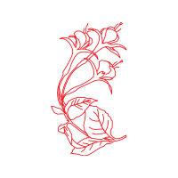 M 02Csf Flowers M 02Csf Flowers