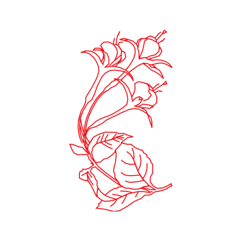 M 02Csf Flowers M 02Csf Flowers