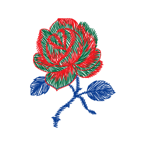 M 02Csf Flowers M 02Csf Flowers