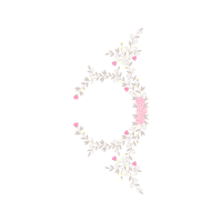 Meadowsweets Flowers Meadowsweets Flowers