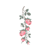 Meter Flowers Meter Flowers