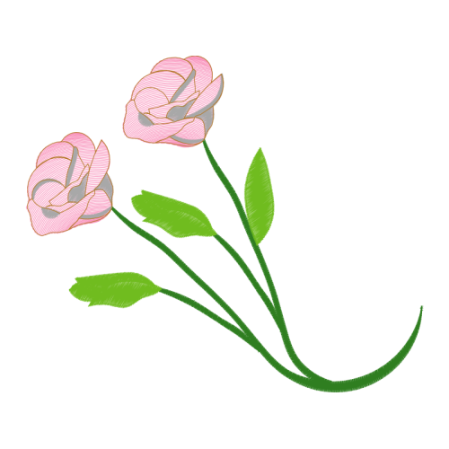 Missouri Evening Primrose Flowers Missouri Evening Primrose Flowers