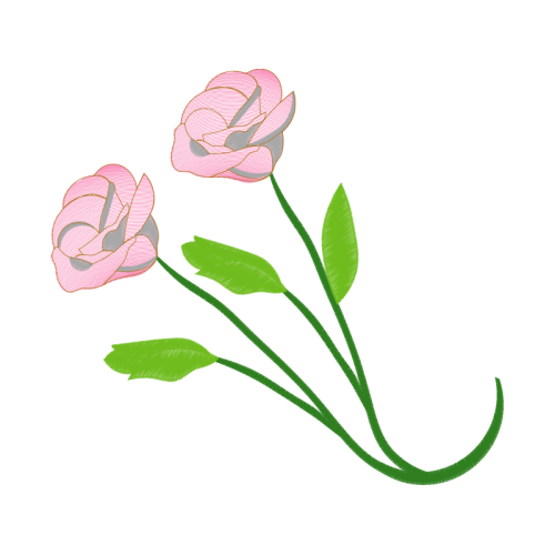 Missouri Evening Primrose Flowers Missouri Evening Primrose Flowers