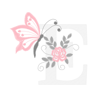 Moth Orchids Flowers