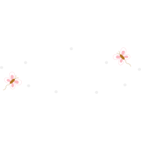 Moth Orchids Flowers