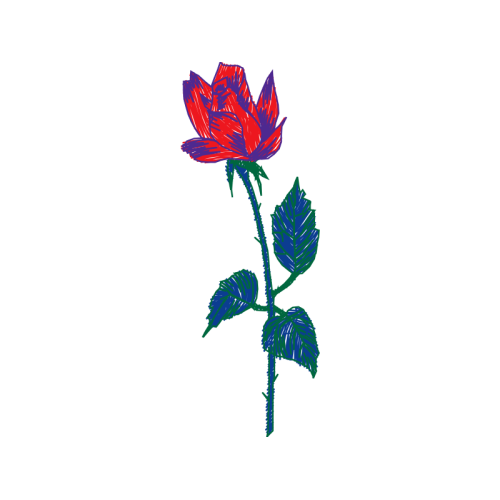 Mtn Group Flowers Mtn Group Flowers