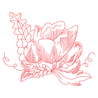 Mtn Group Flowers Mtn Group Flowers