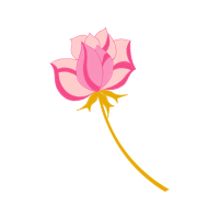 Mtn Group Flowers Mtn Group Flowers