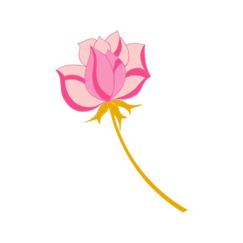 Mtn Group Flowers Mtn Group Flowers