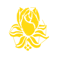 Octopus Flowers Octopus Flowers