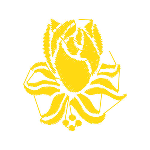 Octopus Flowers Octopus Flowers