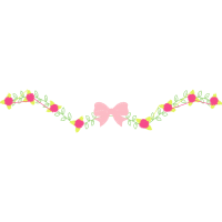 Orchids Flowers Orchids Flowers