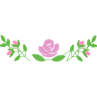 Pacific Bleeding Heart Flowers Pacific Bleeding Heart Flowers