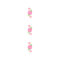 Paper Flowers Paper Flowers