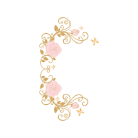 Petal Flowers Petal Flowers