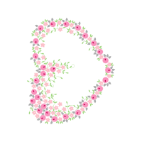 Petal Flowers Petal Flowers