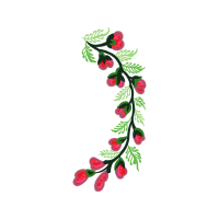 Petal Flowers Petal Flowers