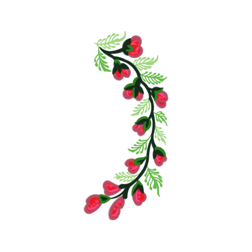 Petal Flowers Petal Flowers