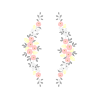 Petal Flowers Petal Flowers