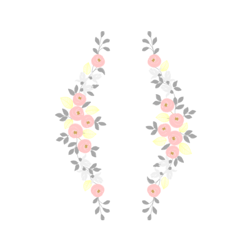 Petal Flowers Petal Flowers