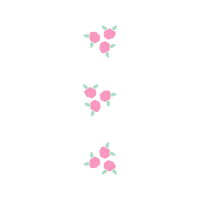 Petal Flowers Petal Flowers