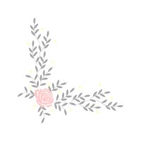 Petal Flowers Petal Flowers