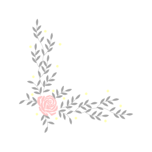 Petal Flowers Petal Flowers