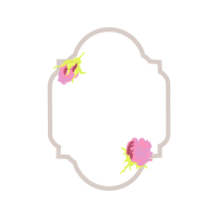 Petal Flowers Petal Flowers