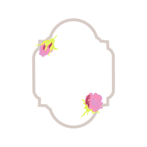 Petal Flowers Petal Flowers