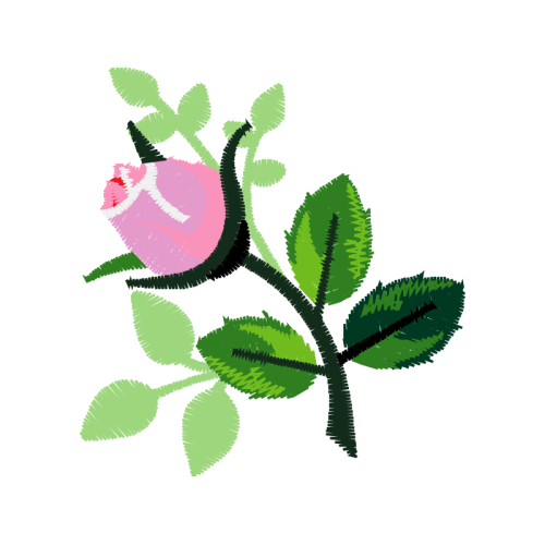 Portable Network Graphics Flowers Portable Network Graphics Flowers