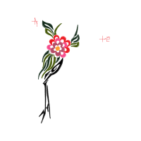 Prairie Rose Flowers