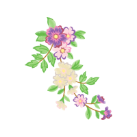 Prairie Rose Flowers Prairie Rose Flowers